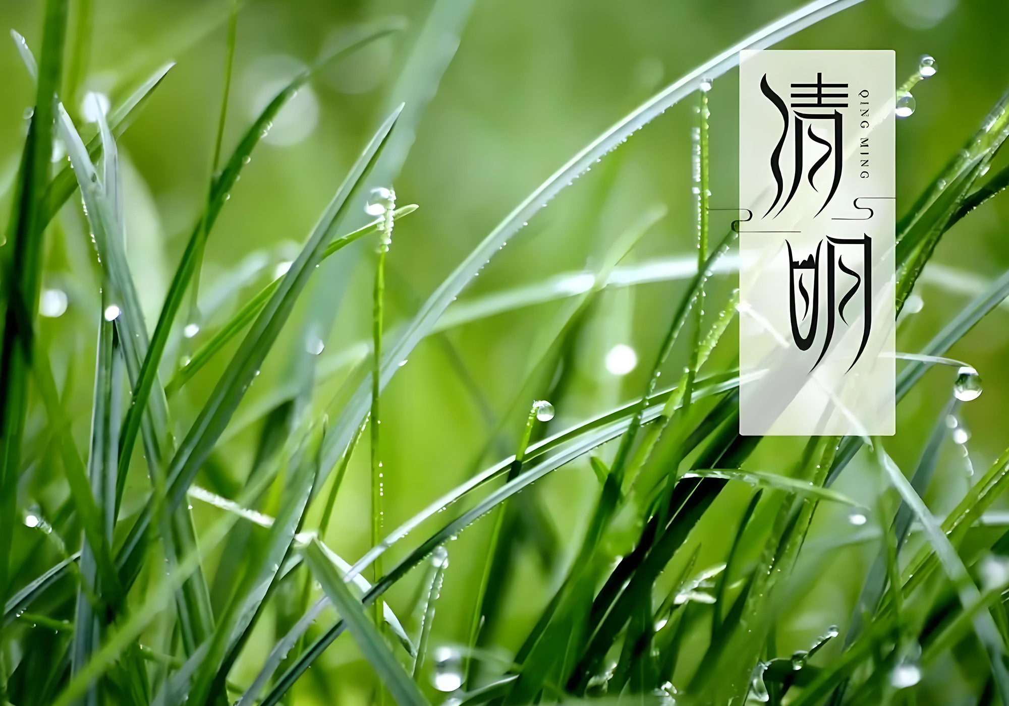 传统民俗-清明节